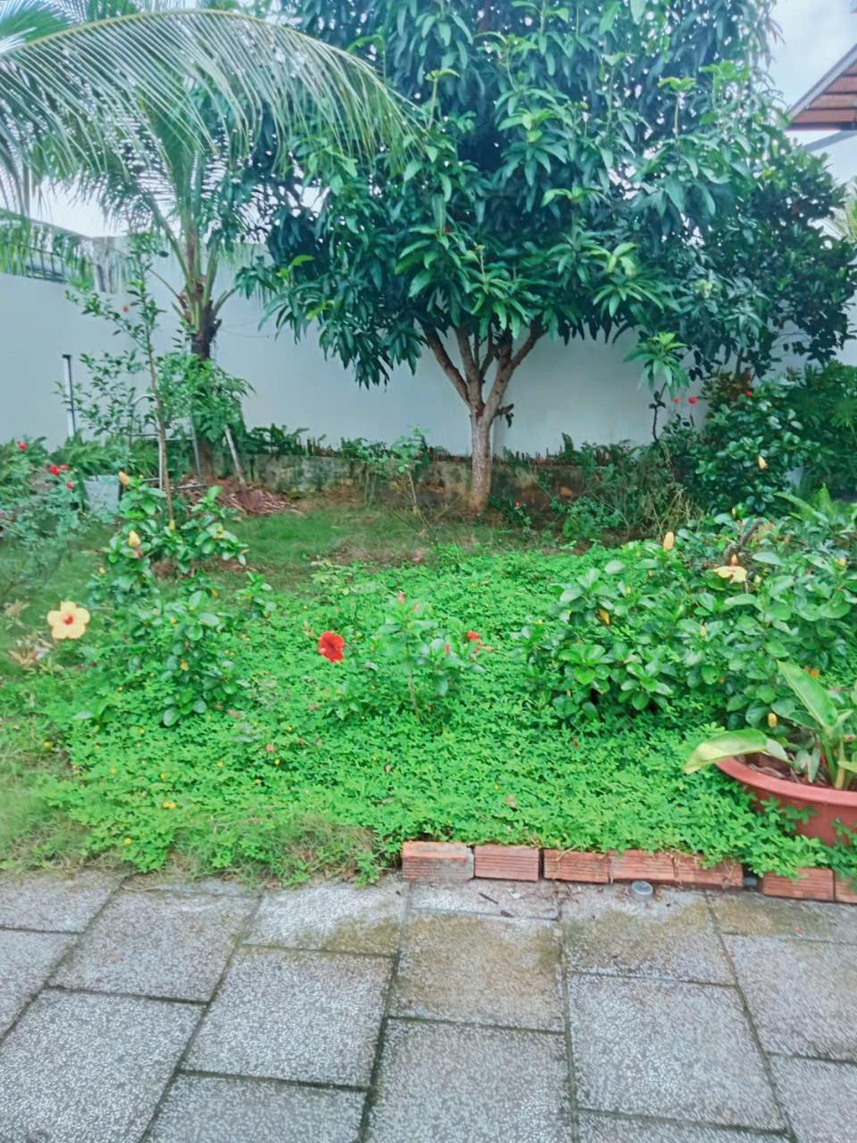 Halona Homestay Phu Quoc