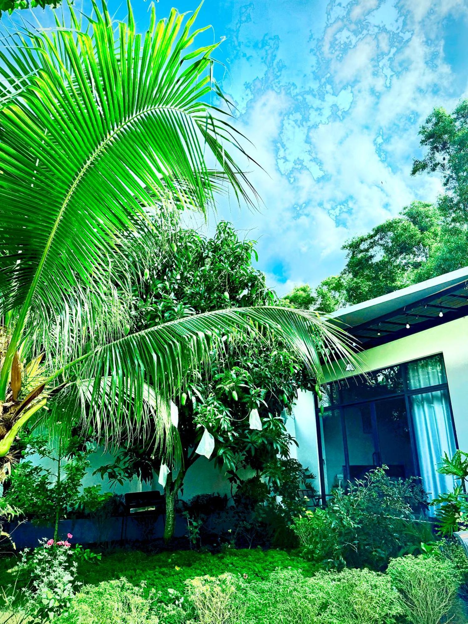 Halona Homestay