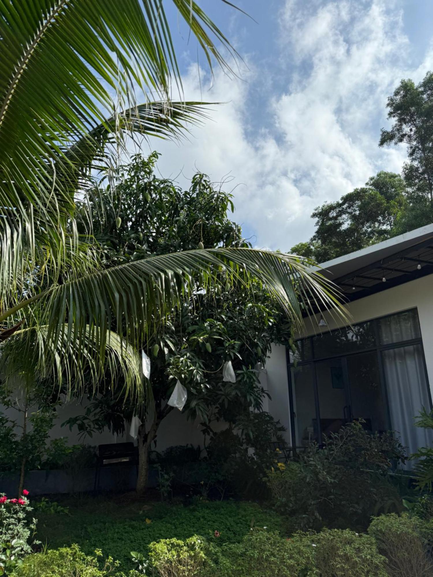 Halona Homestay Phu Quoc