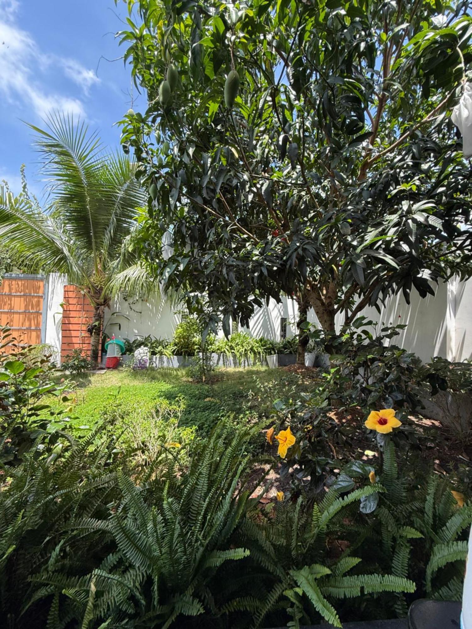 Halona Homestay Phu Quoc